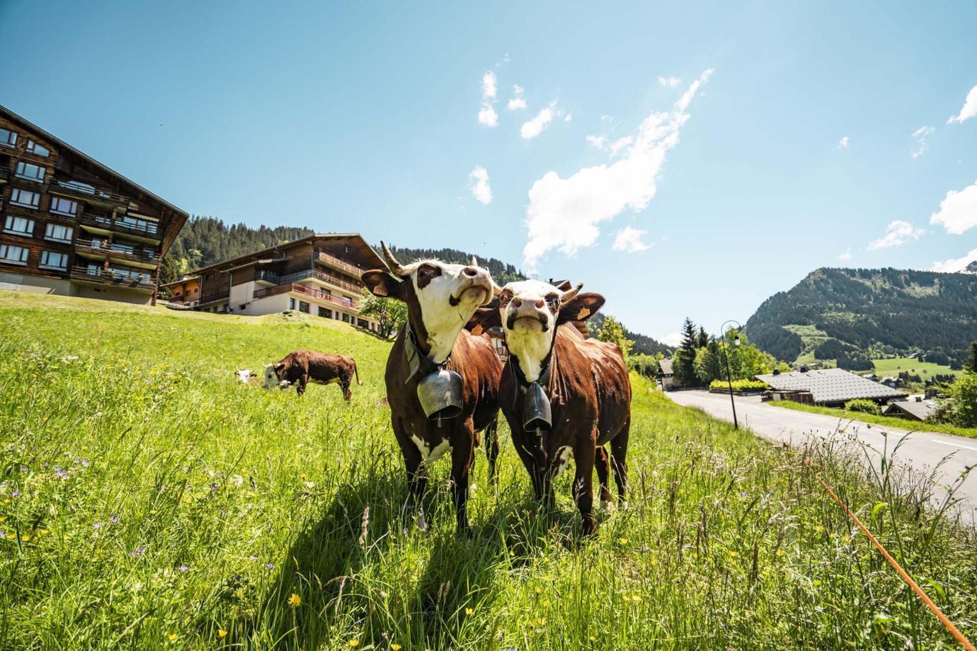 Le Roitelet Hotel Chatel Ngoại thất bức ảnh